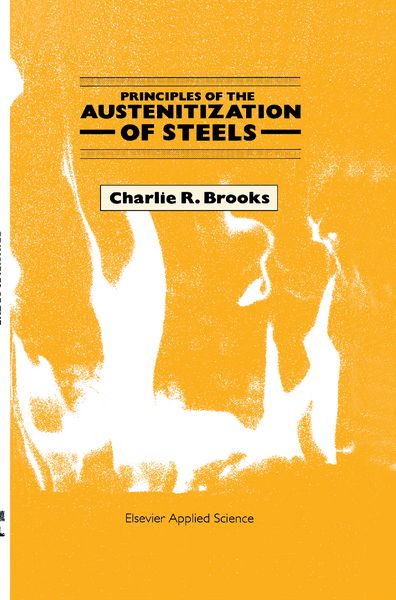 Produktbild: Principles of the Austenitization of Steels