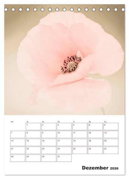 Produktbild: Farbiger Bl&uuml;tentraum (Tischkalender 2026 DIN A5 hoch), CALVENDO Monatskalender