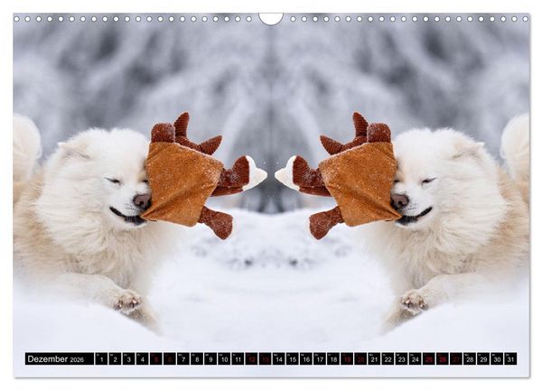 Produktbild: Mit doppelter Power durch das Jahr (Wandkalender 2026 DIN A3 quer), CALVENDO Monatskalender