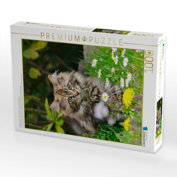 Produktbild: CALVENDO Puzzle Niedliches Maine Coon K&auml;tzchen in einer Fr&uuml;hlingswiese | 1000 Teile Lege-Gr&ouml;&szlig;e 64x48cm Foto-Puzzle f&uuml;r gl&uuml;ckliche Stunden