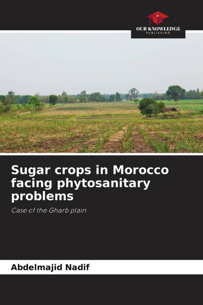Produktbild: Sugar crops in Morocco facing phytosanitary problems