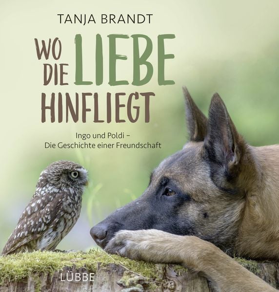 Produktbild: Wo die Liebe hinfliegt