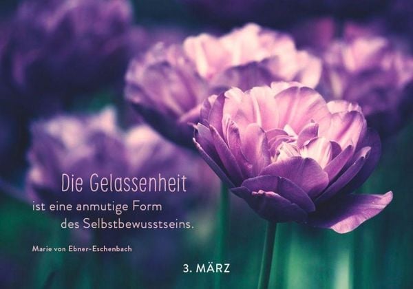 Produktbild: 365 mal Gelassenheit