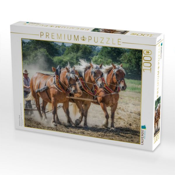 Produktbild: CALVENDO Puzzle Feldarbeit zu Pferde | 1000 Teile Lege-Gr&ouml;&szlig;e 64x48cm Foto-Puzzle f&uuml;r gl&uuml;ckliche Stunden