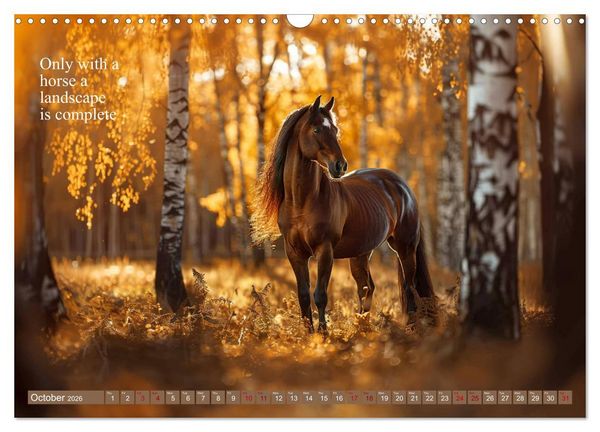Produktbild: A Horse Makes You Complete (Wall Calendar 2026 DIN A3 landscape), CALVENDO 12 Month Wall Calendar