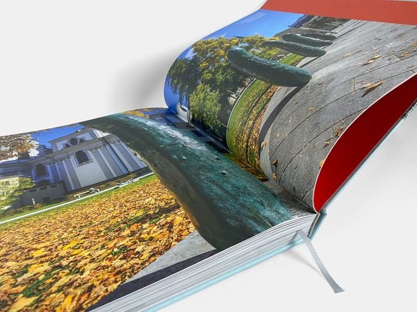 Produktbild: Das Salzburger Land