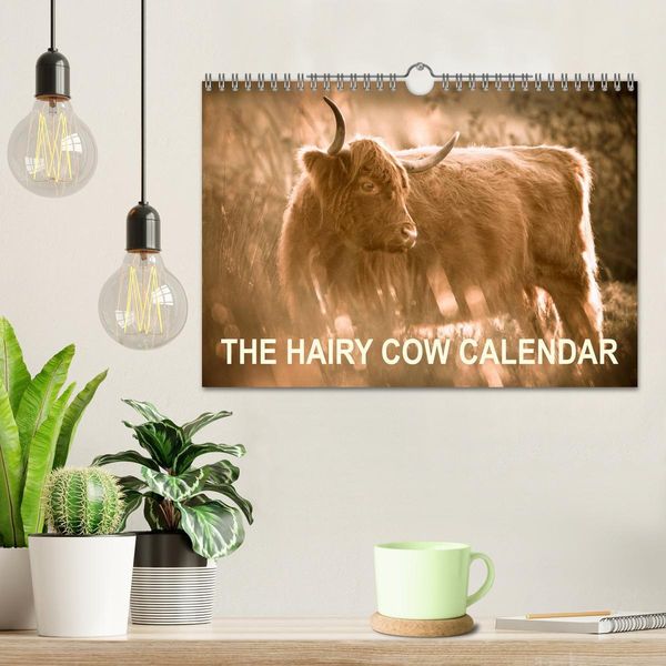 Produktbild: The Hairy Cow Calendar (Wall Calendar 2026 DIN A4 landscape), CALVENDO 12 Month Wall Calendar