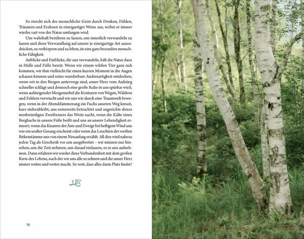 Produktbild: Kraftort Natur