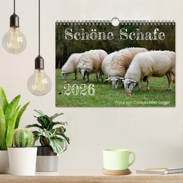 Produktbild: Sch&ouml;ne Schafe (Wandkalender 2026 DIN A4 quer), CALVENDO Monatskalender