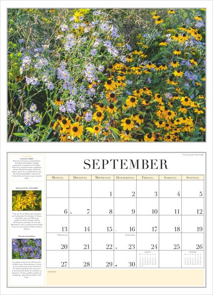Produktbild: Garten-Kalender 2027