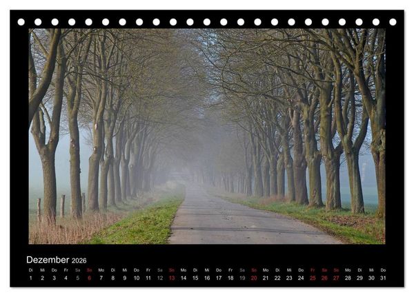 Produktbild: M&auml;rchenhafter Reinhardswald und Urwald Sababurg (Tischkalender 2026 DIN A5 quer), CALVENDO Monatskalender