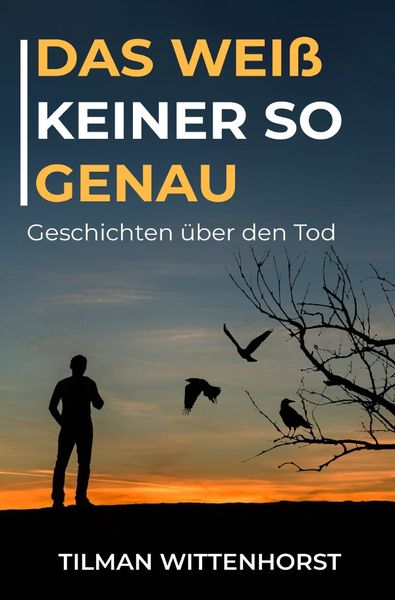 Das weiß keiner so genau, Taschenbuch von Tilman Wittenhorst, Epubli, 9783757506636