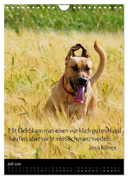 Produktbild: Der Broholmer (Wandkalender 2026 DIN A4 hoch), CALVENDO Monatskalender