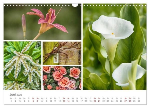 Produktbild: Ein Garten, der zum Verweilen einl&auml;dt (Wandkalender 2026 DIN A3 quer), CALVENDO Monatskalender