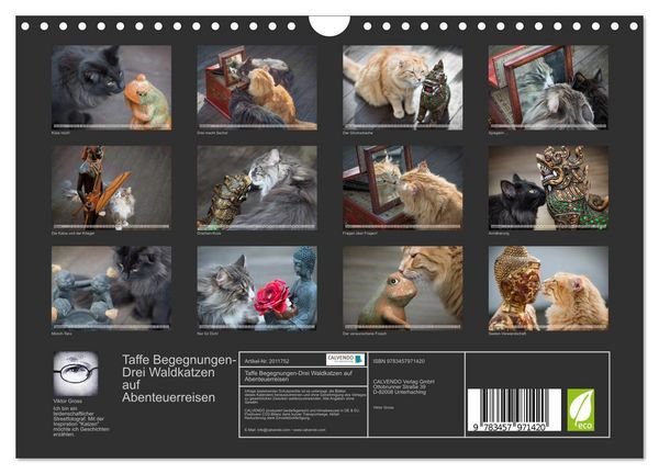 Produktbild: Taffe Begegnungen-Drei Waldkatzen auf Abenteuerreisen (Wandkalender 2026 DIN A4 quer), CALVENDO Monatskalender