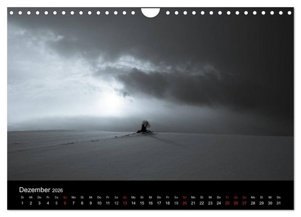 Produktbild: B&auml;ume trees 2026 (Wandkalender 2026 DIN A4 quer), CALVENDO Monatskalender