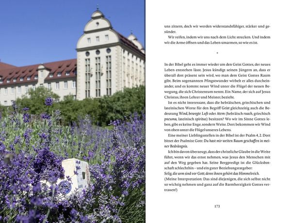 Produktbild: Das Glück wächst im Garten