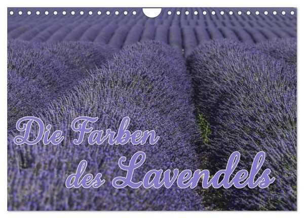 Produktbild: Die Farbe des Lavendels (Wandkalender 2026 DIN A4 quer), CALVENDO Monatskalender