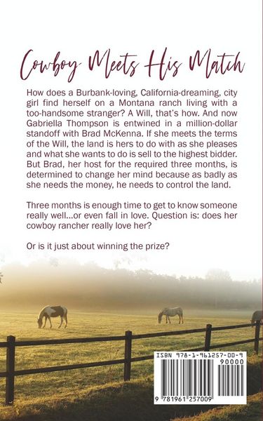 Produktbild: Cowboy Meets His Match