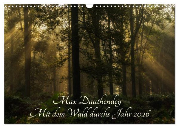 Produktbild: Max Dauthendey - Mit dem Wald durchs Jahr (Wandkalender 2026 DIN A3 quer), CALVENDO Monatskalender