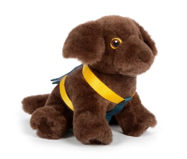 Produktbild: Hund mit Tasche und Pflege-Set