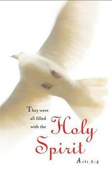 Produktbild: Holy Spirit Pentecost Bulletin 2013, Regular (Package of 50)