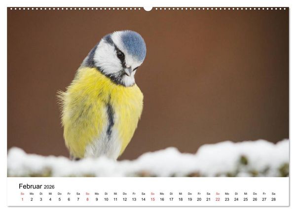 Produktbild: Unsere heimische Tierwelt (hochwertiger Premium Wandkalender 2026 DIN A2 quer), Kunstdruck in Hochglanz