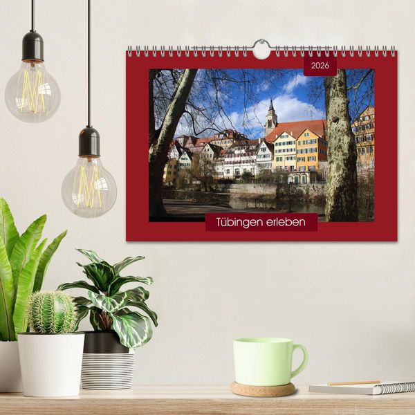 Produktbild: T&uuml;bingen erleben (Wandkalender 2026 DIN A4 quer), CALVENDO Monatskalender