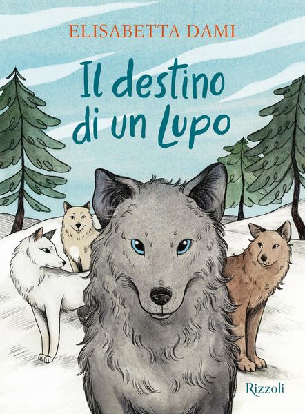 Produktbild: Il destino di un lupo