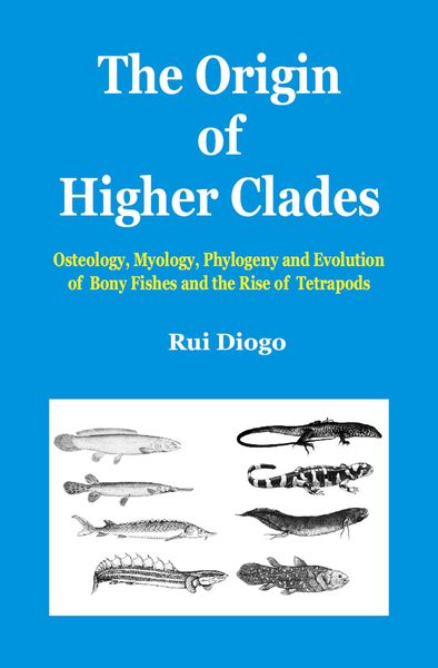Produktbild: The Origin of Higher Clades