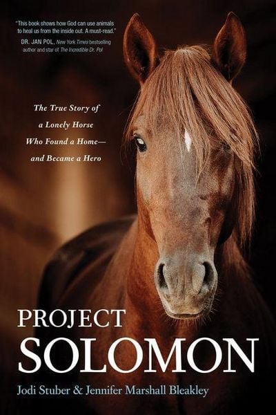 Produktbild: Project Solomon