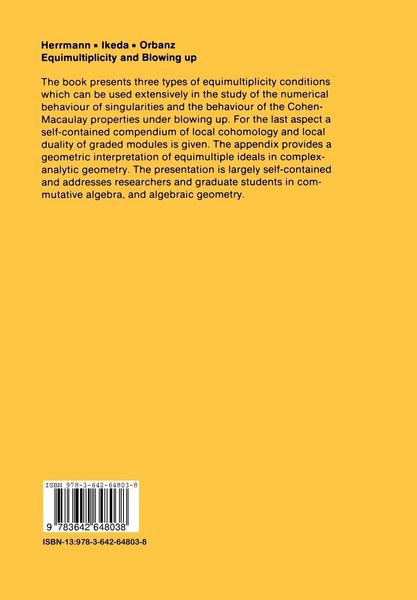 Produktbild: Equimultiplicity and Blowing Up