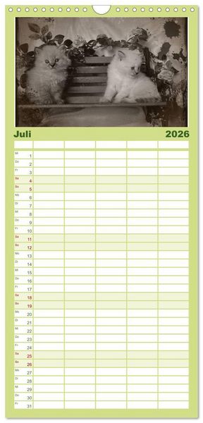Produktbild: Familienplaner 2026 - Oma's Katzenkalender 2026 mit 5 Spalten (Wandkalender, 21 x 45 cm) CALVENDO