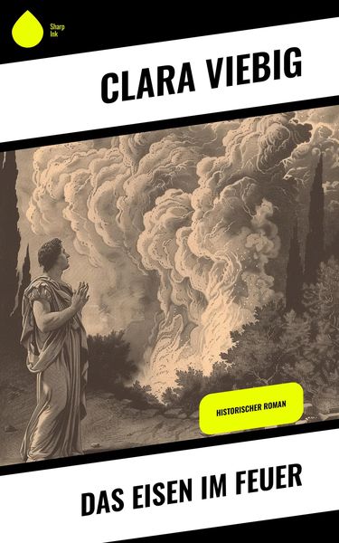 Produktbild: Das Eisen im Feuer