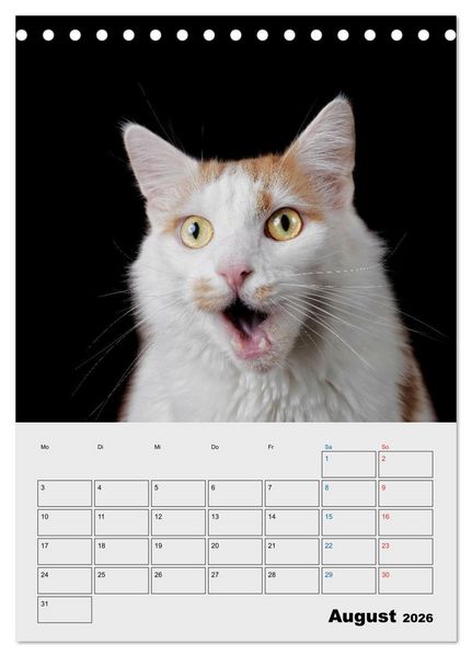 Produktbild: Crazy Catz. (Tischkalender 2026 DIN A5 hoch), CALVENDO Monatskalender