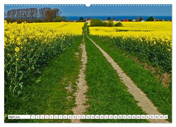 Produktbild: Ostseeinsel Poel - K&uuml;stenimpressionen (Wandkalender 2026 DIN A2 quer), CALVENDO Monatskalender
