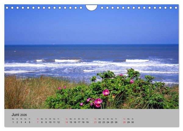 Produktbild: Ostfriesland an der Nordseek&uuml;ste (Wandkalender 2026 DIN A4 quer), CALVENDO Monatskalender
