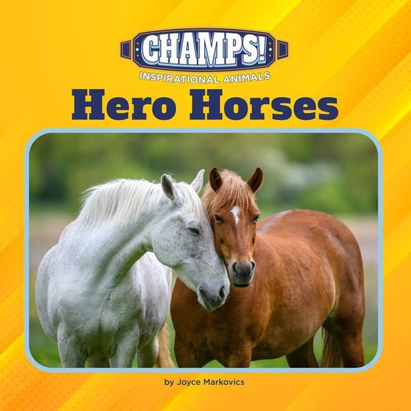 Produktbild: Hero Horses