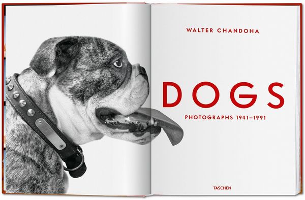 Produktbild: Walter Chandoha