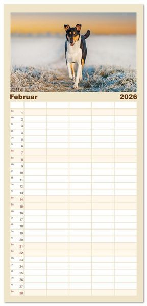 Produktbild: Familienplaner 2026 - Ein Freund f&uuml;rs Leben - Smooth Collie mit 5 Spalten (Wandkalender, 21 x 45 cm) CALVENDO