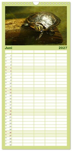 Produktbild: Familienplaner 2027 - Das Leben der Schildkr&ouml;ten mit 5 Spalten (Wandkalender, 21 x 45 cm) CALVENDO