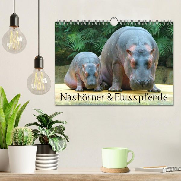 Produktbild: Nash&ouml;rner & Flusspferde (Wandkalender 2026 DIN A4 quer), CALVENDO Monatskalender