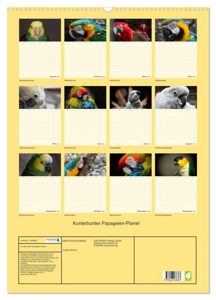 Produktbild: Kunterbunter Papageien-Planer (Wandkalender 2026 DIN A2 hoch), CALVENDO Monatskalender
