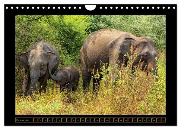Produktbild: Sri Lanka - Landschaft und Kultur (Wandkalender 2026 DIN A4 quer), CALVENDO Monatskalender