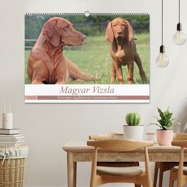 Produktbild: Magyar Vizsla - Vielseitiger Jagdhund mit Familienanschluss (Wandkalender 2026 DIN A2 quer), CALVENDO Monatskalender