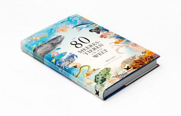 Produktbild: In 80 Meerestieren um die Welt