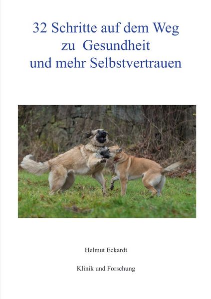 32 Schritte auf dem Weg zu Gesundheit und mehr Selbstvertrauen, Taschenbuch von Helmut Eckardt, Epubli, 9783819068638