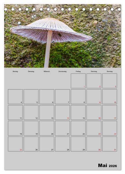 Produktbild: Quer durch die Pilze (Tischkalender 2026 DIN A5 hoch), CALVENDO Monatskalender
