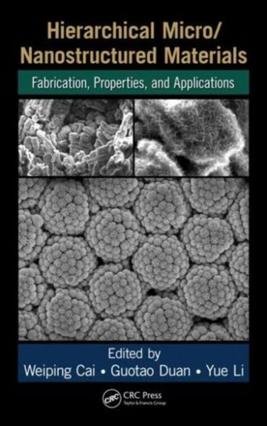 Produktbild: Hierarchical Micro/Nanostructured Materials