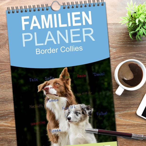 Produktbild: Familienplaner 2026 - Border Collies 2026 mit 5 Spalten (Wandkalender, 21 x 45 cm) CALVENDO